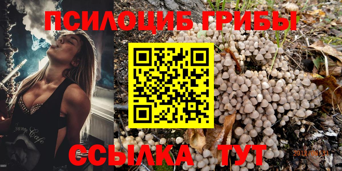 Псилоцибиновые грибы ЛСД Кисловодск