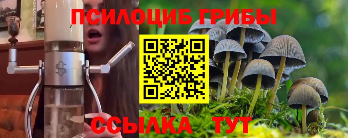 Кисловодск  Псилоцибиновые грибы ЛСД  Вход с VPN 